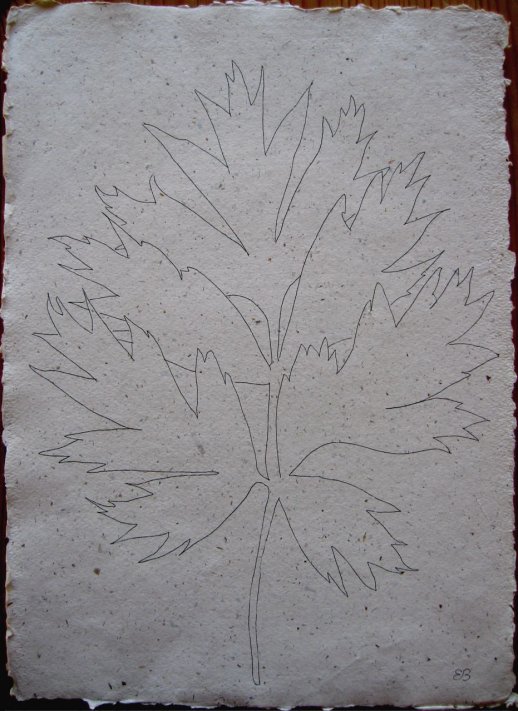 Leaf Study II