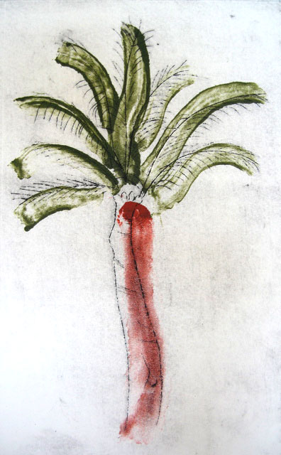 Palm Tree